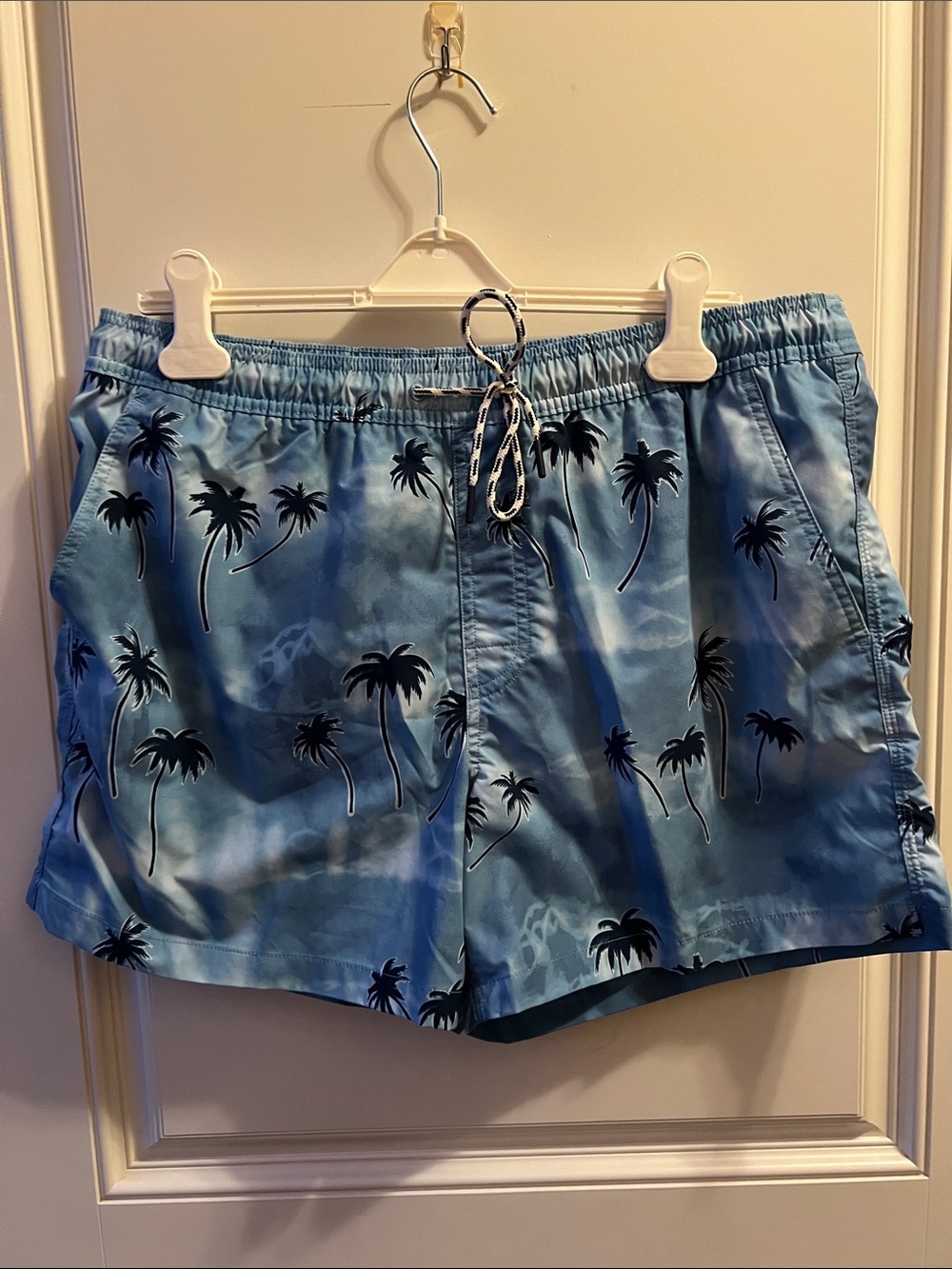 Men's Blue Palm-Print Swim Shorts